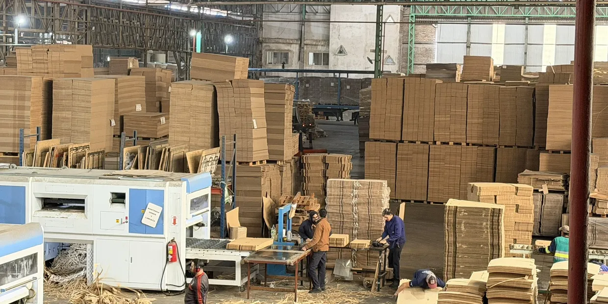 Operarios trabajando en las líneas de armado, con cajas apiladas alrededor